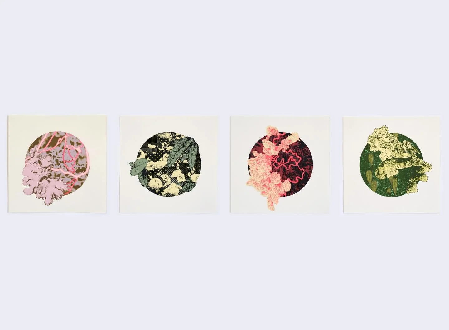 Simpoiesis I, II, III, IV, (2025/26) 🌱✨
Serigraf&iacute;a a 5 tintas sobre papel de algod&oacute;n
28cm x 28cm/11&rdquo; x 11&rdquo;in

Compuse estas piezas a partir de distintos &aacute;mbitos de la naturaleza, incluyendo micelios, l&iacute;quenes,