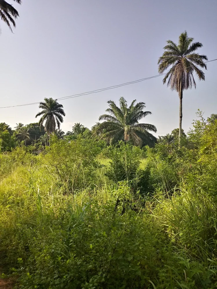 20190619_115356_HDR.webp