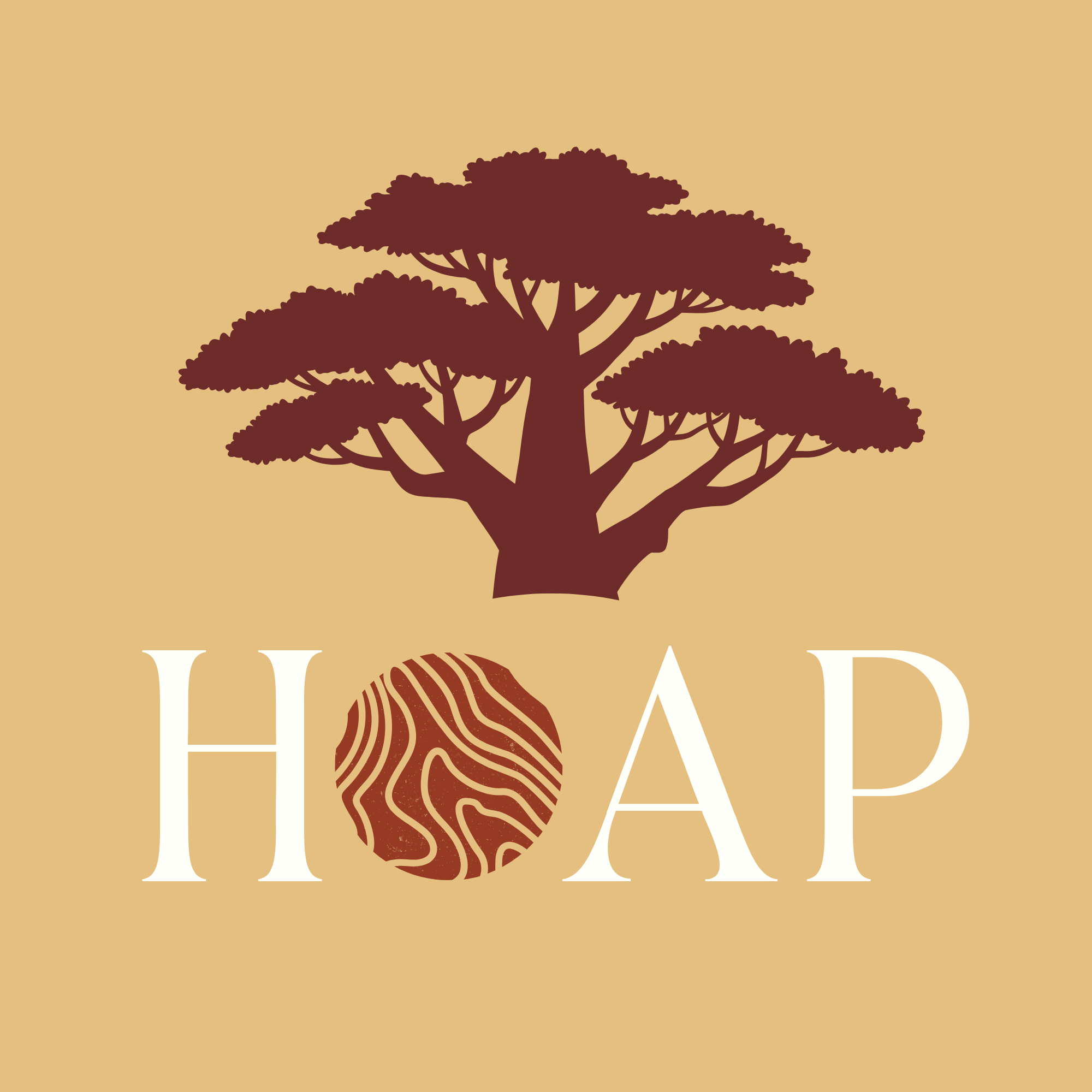 Episode 1: What HOAP is all about