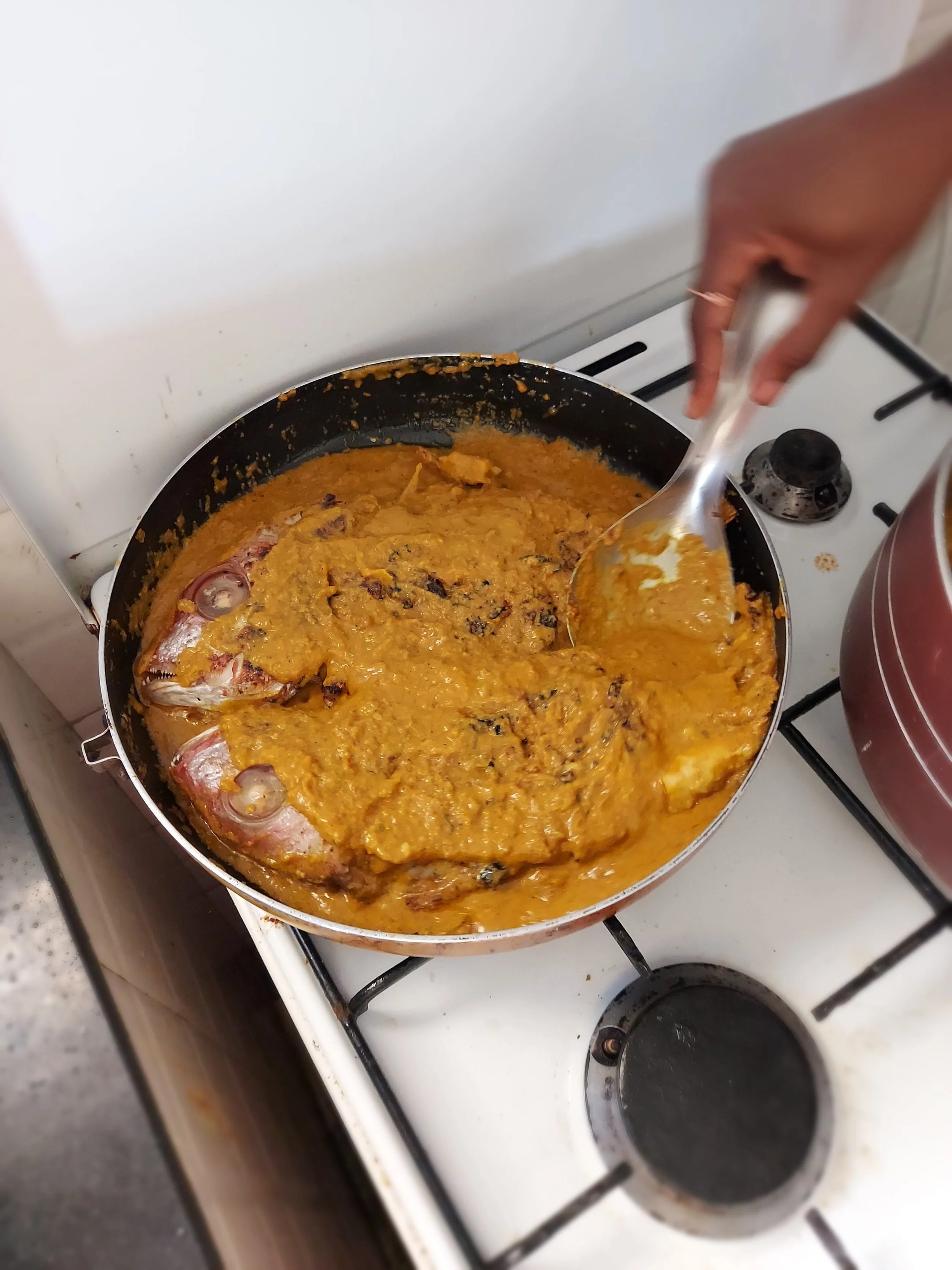 Red snapper in coconut milk based sauce