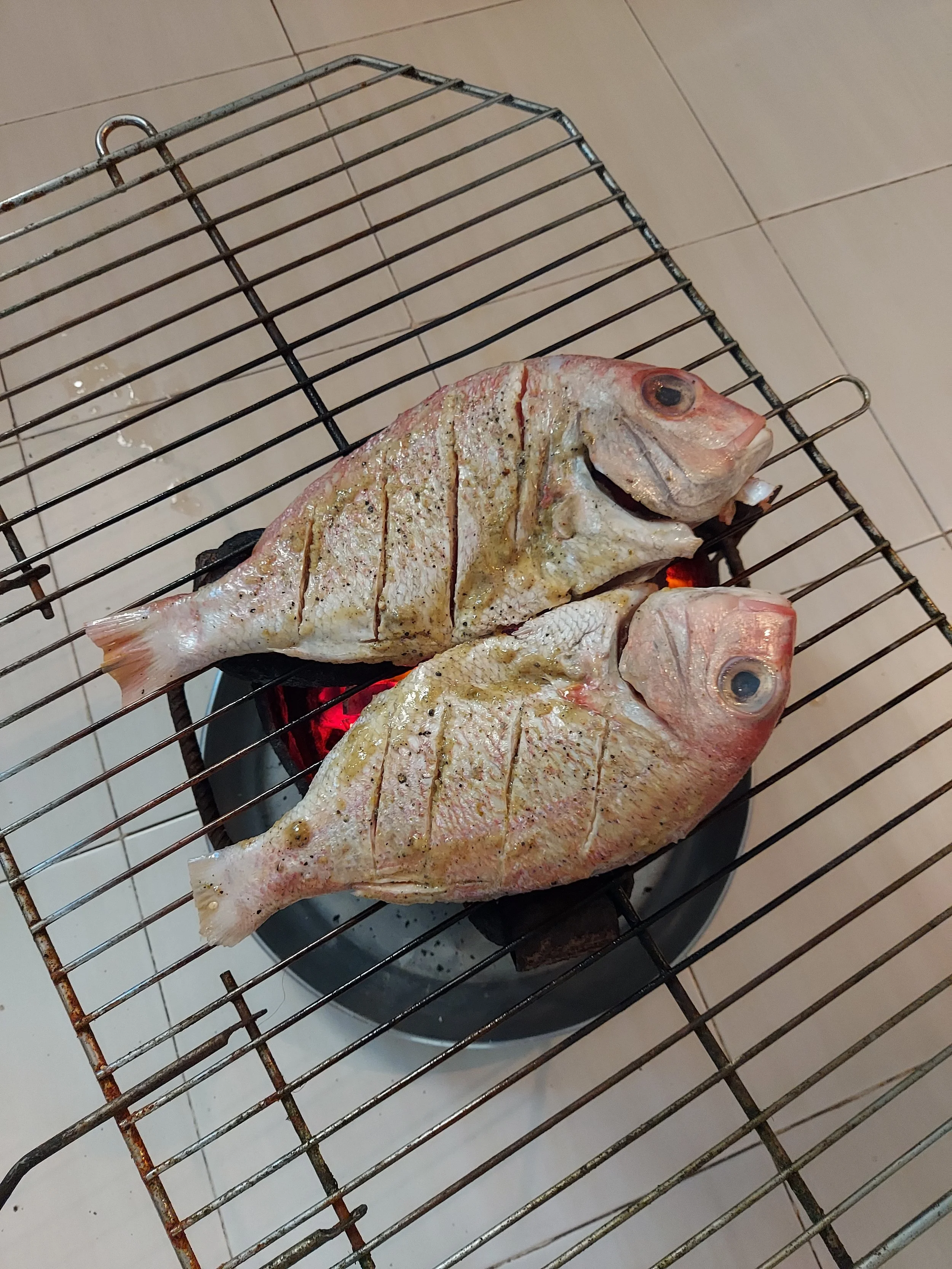Grilling the red snapper