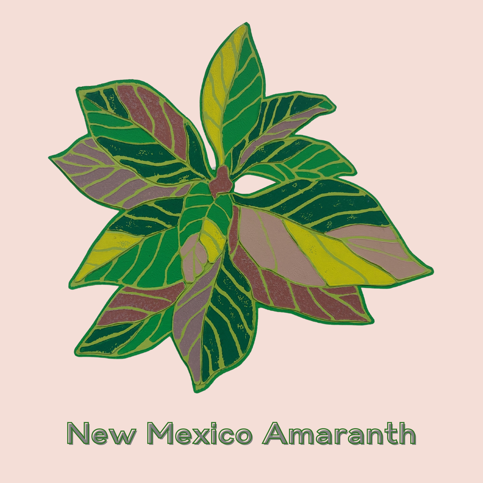 New Mexico Amaranth.png