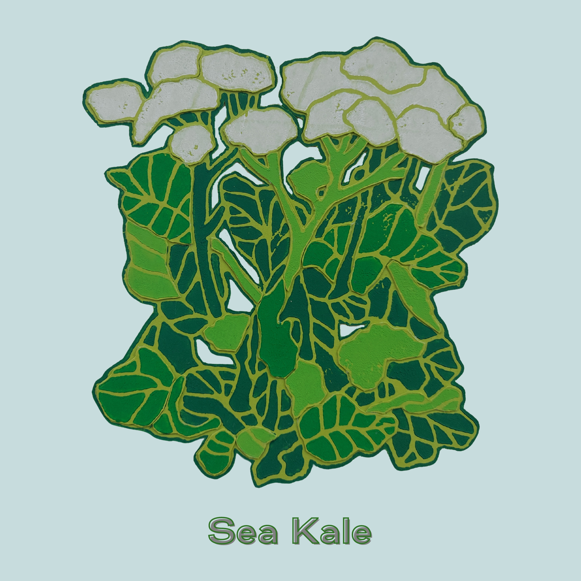 Sea Kale.png