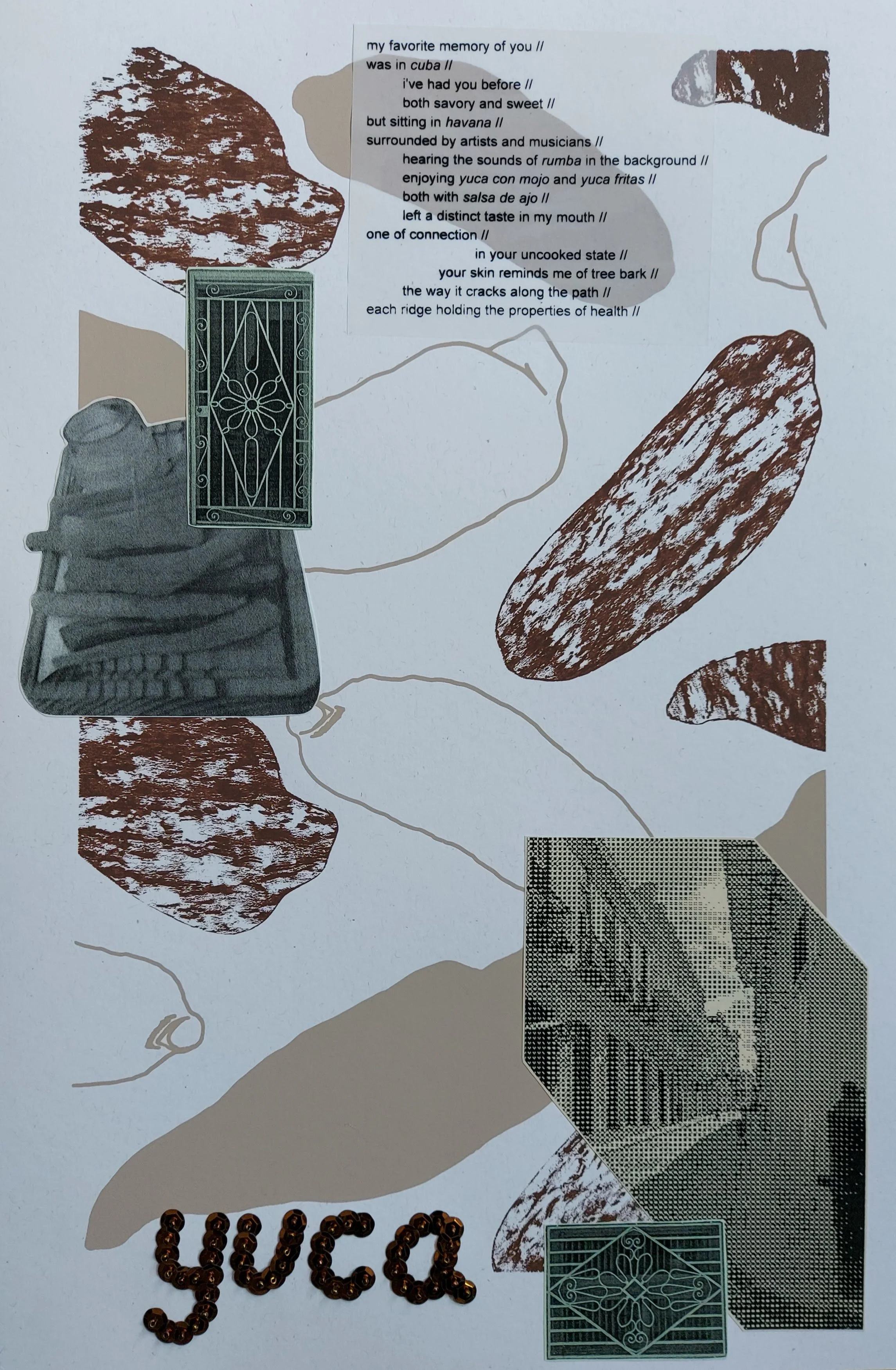 i followed the drinking gourd