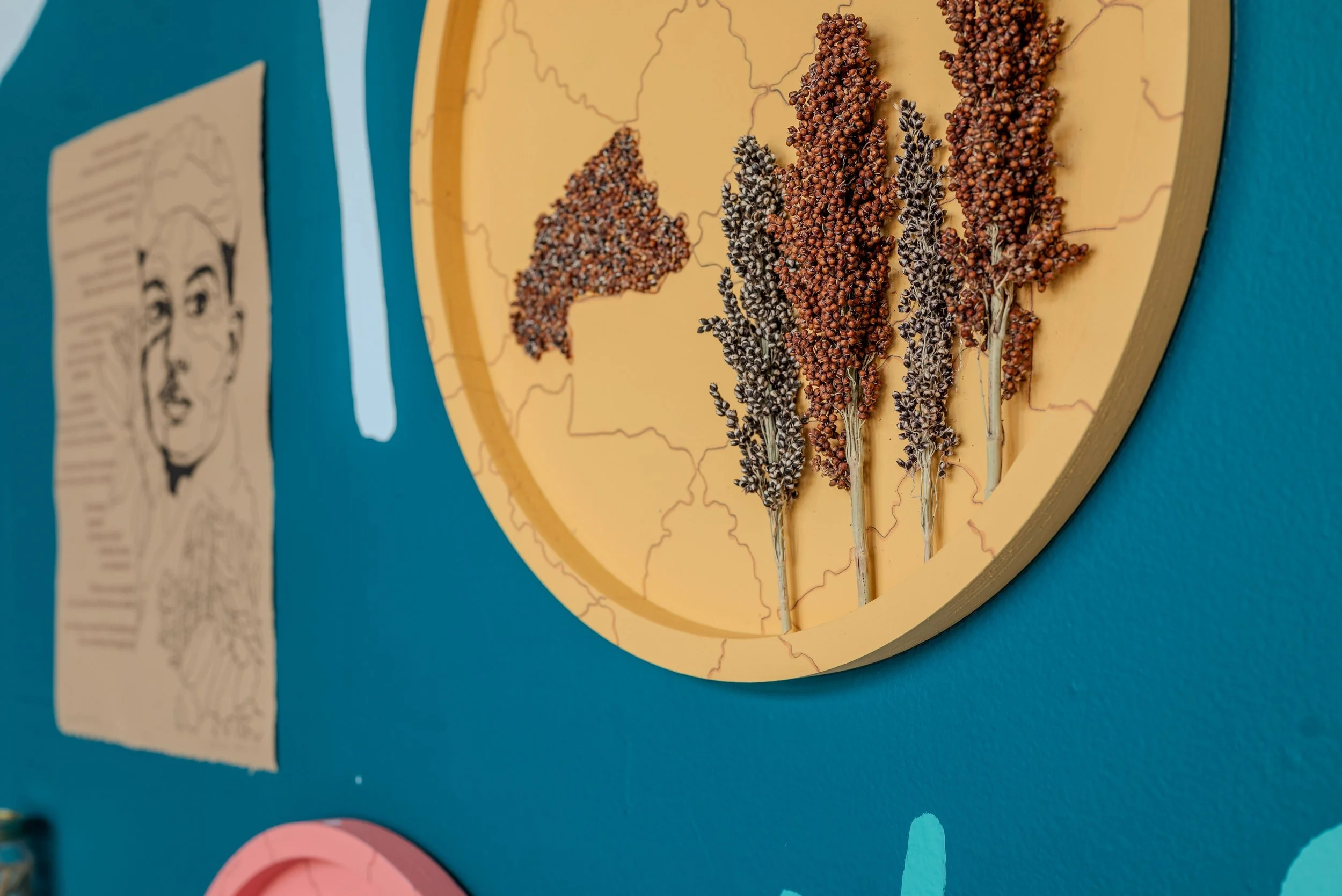 Burkina Faso Dried Sorghum.jpg