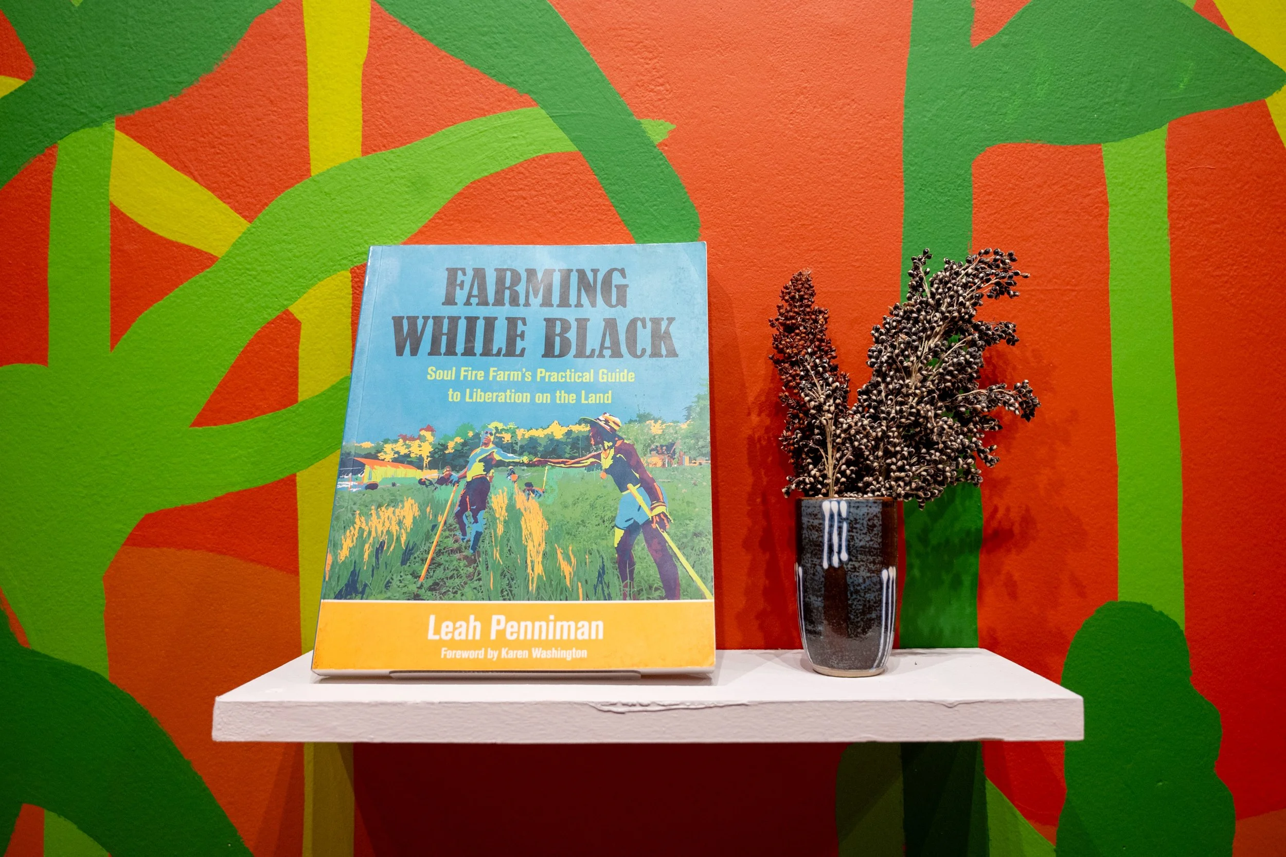 GERM_Book and Sorghum Seeds.jpg