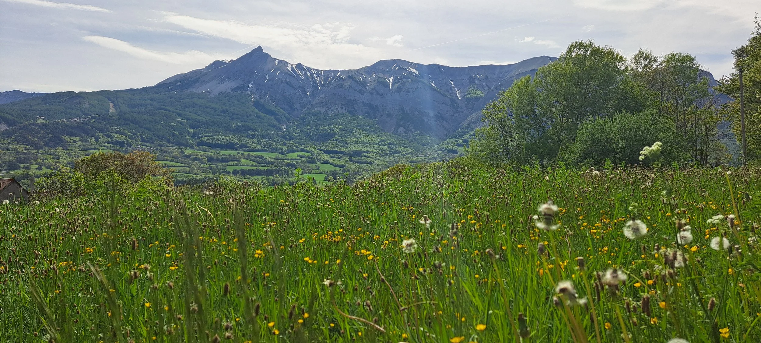 20260502_161540.jpg