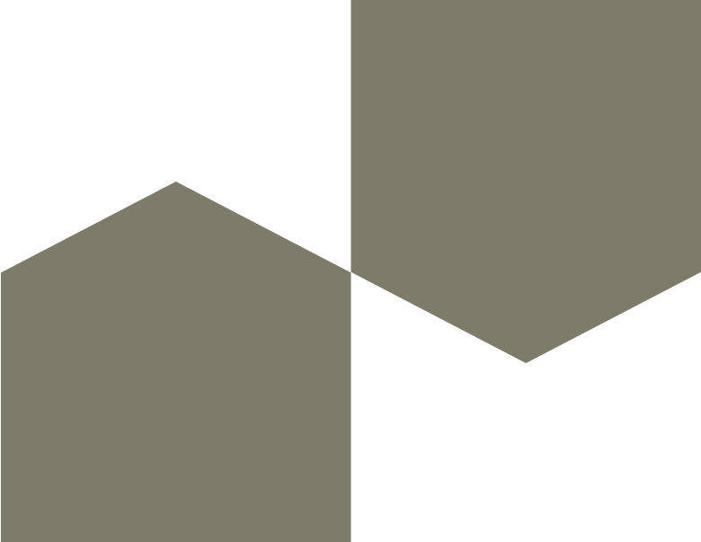 A digital illustration of an abstract geometric shape with two large, adjacent hexagons in shades of gray and green.