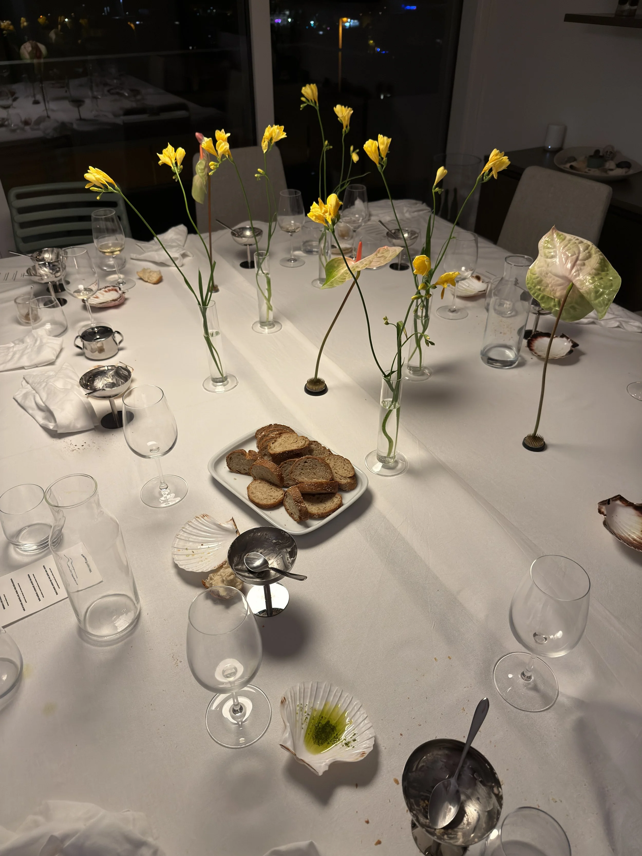 IMG_2404.jpeg