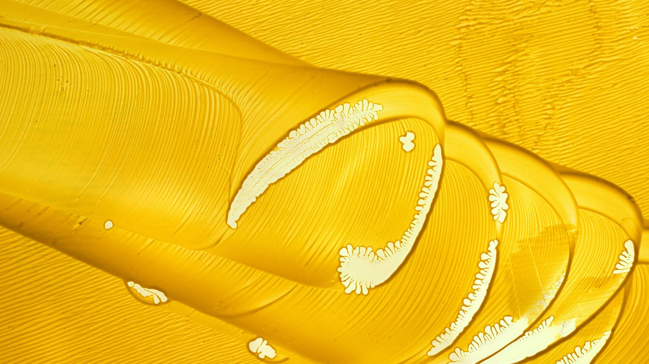 Close-up of sliced yellow bell pepper showing the inner seed cavity and textured flesh.