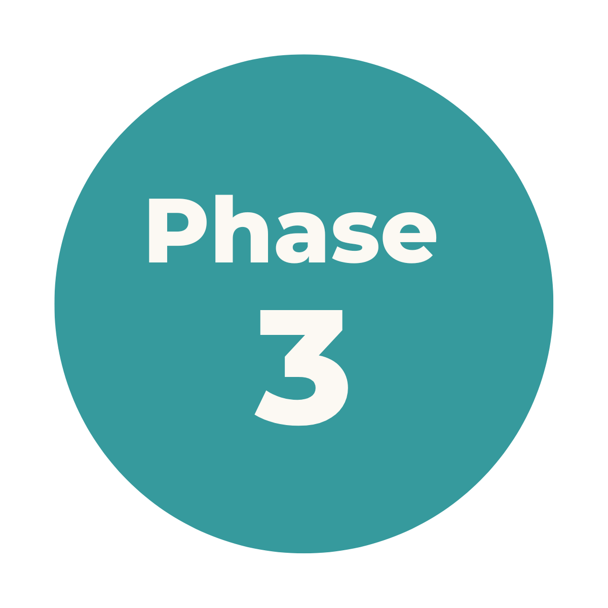 A teal circle with white text that reads 'Phase 3'.