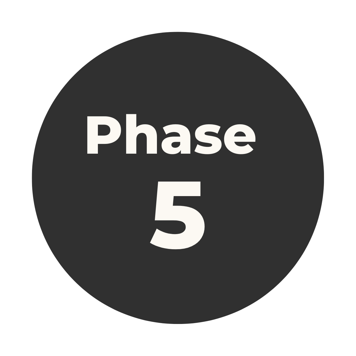 A black circle with white text that says 'Phase 5'.