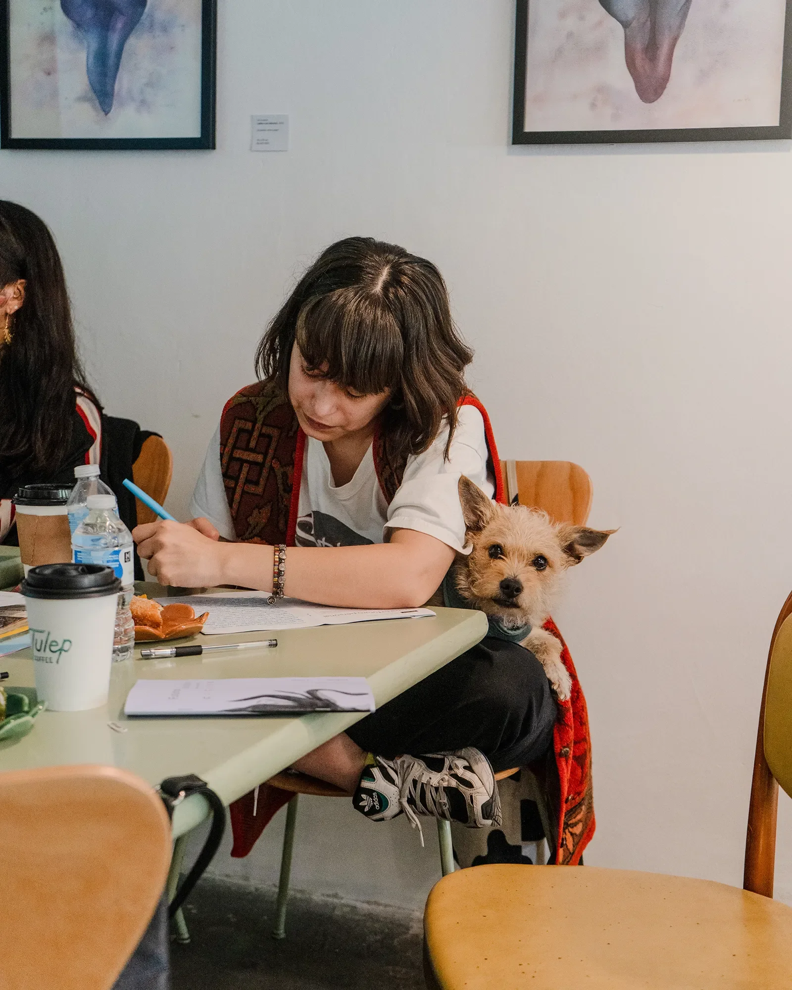 Diseño centrado en la mujer: herramientas para una disciplina más equitativa