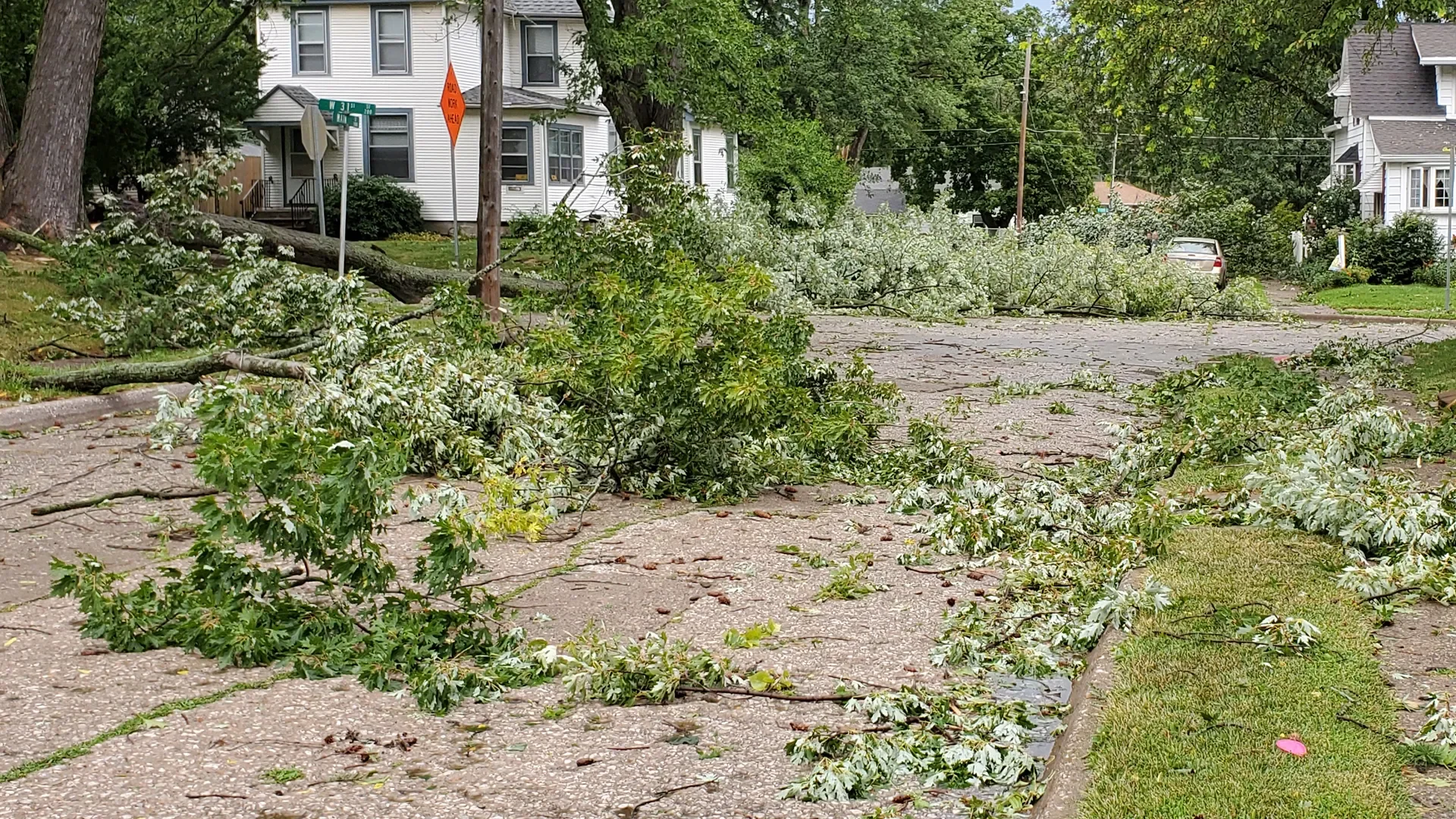 Storm/Debris Clean Up