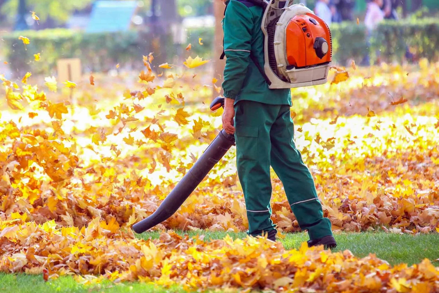 Leaf Removal/Clean-up