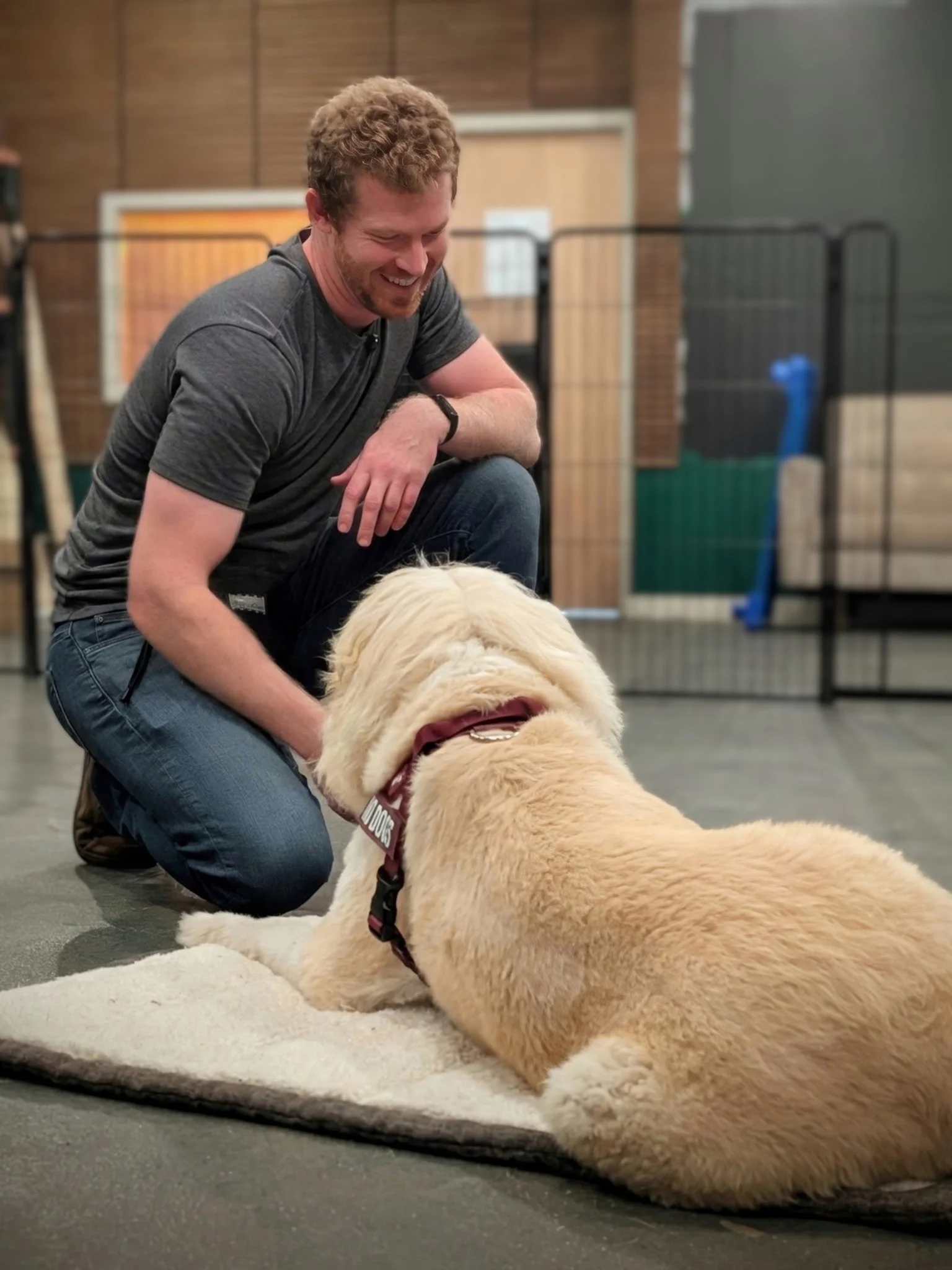 A man with curly hair, wearing a gray t-shirt, kneeling and smiling at a large, light-colored dog lying on the floor.