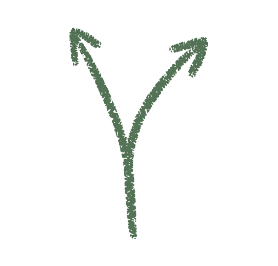 A hand-drawn illustration of a plant with two curved arrows branching upward from a single stem.