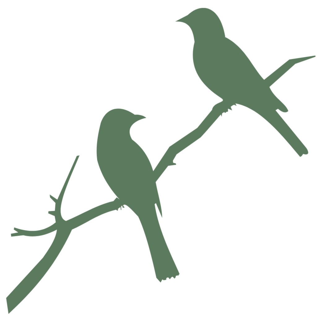 Silhouette of two birds perched on a small branch, against a transparent background.