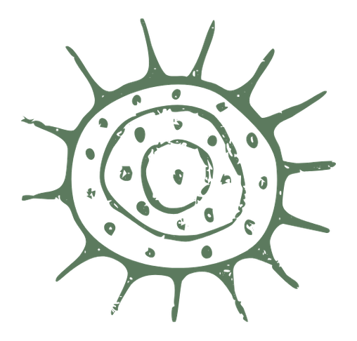 Illustration of a virus particle with a circular shape, spiky outer edges, and internal structure.