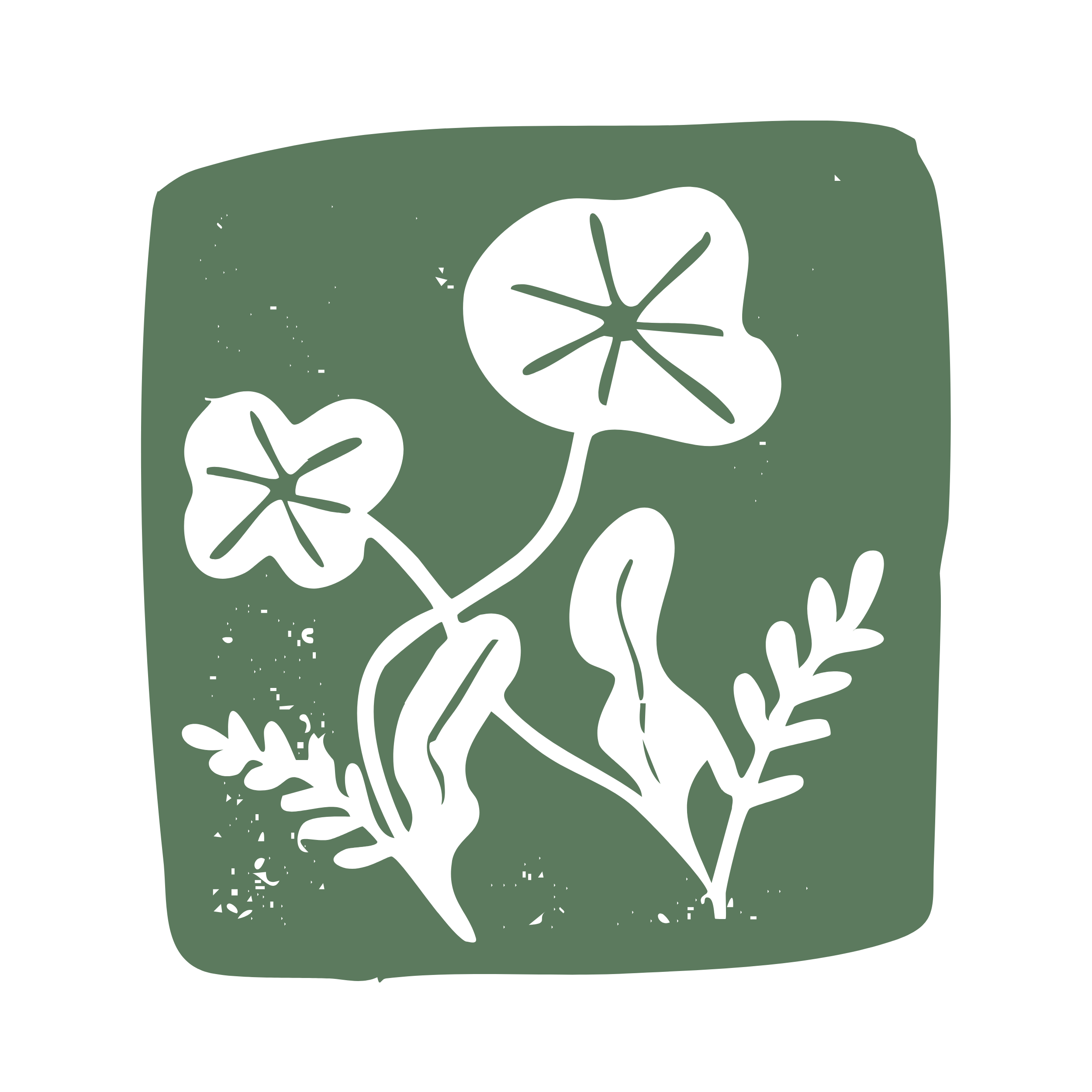 Stylized depiction of a green fruit with black seeds and internal seed patterns