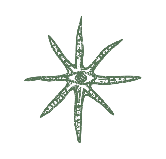 Starfish with eight arms, each arm has measurement markings.