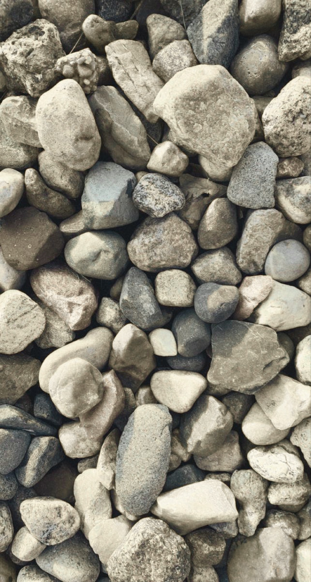 Close-up view of various small gray and beige rocks and pebbles.