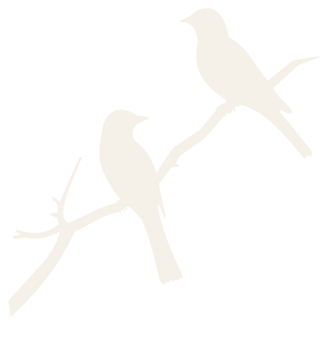 Silhouette of two birds perched on a branch with a black background.