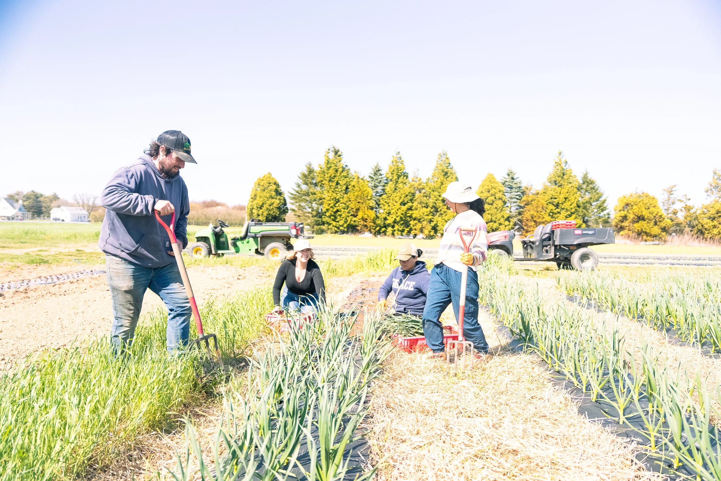 Group of people gardening and planting in a field with green trees and houses in the background.