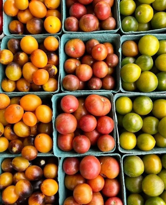 Volunteer on the Farm: Tomato Harvest!