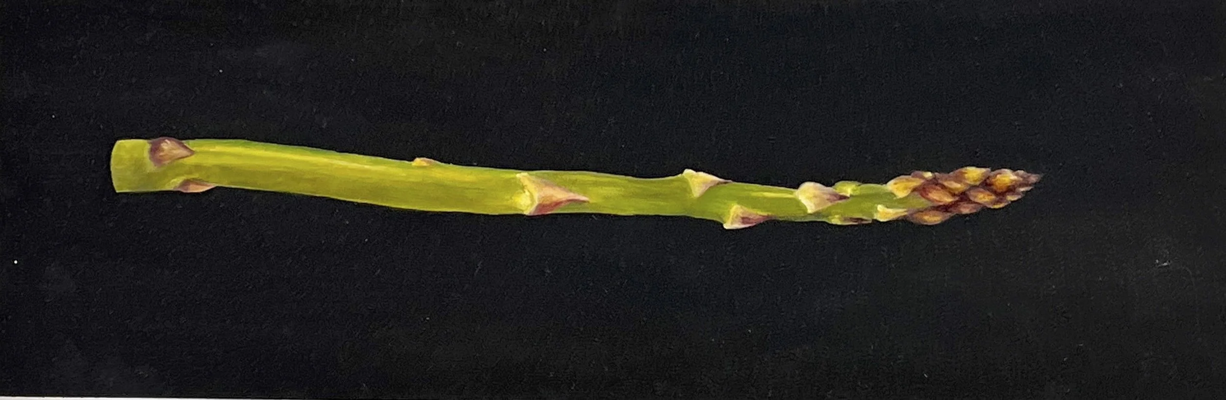 A close-up image of a budding asparagus with small brownish flower buds on a black background.