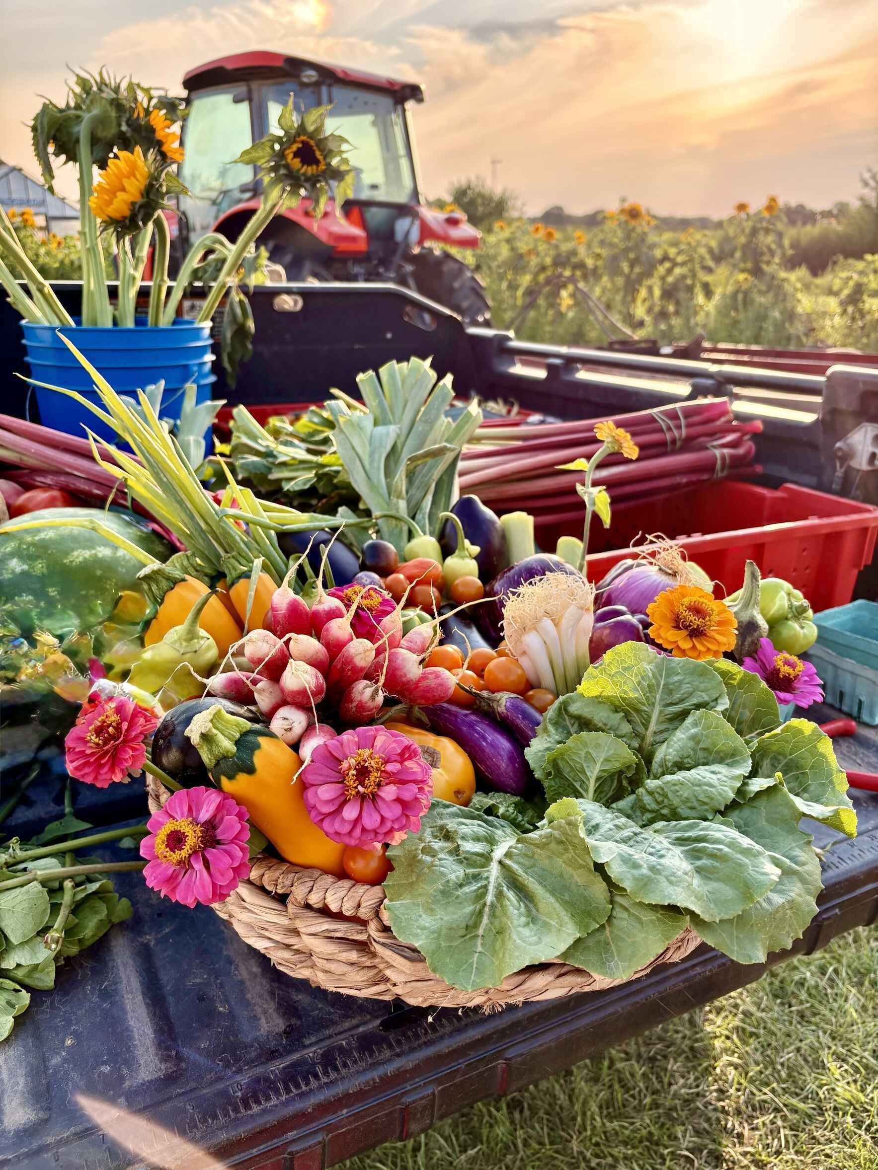 A basket of fresh vegetables and flowers in the back of a tractor, with a field of sunflowers and a barn in the background during sunset.