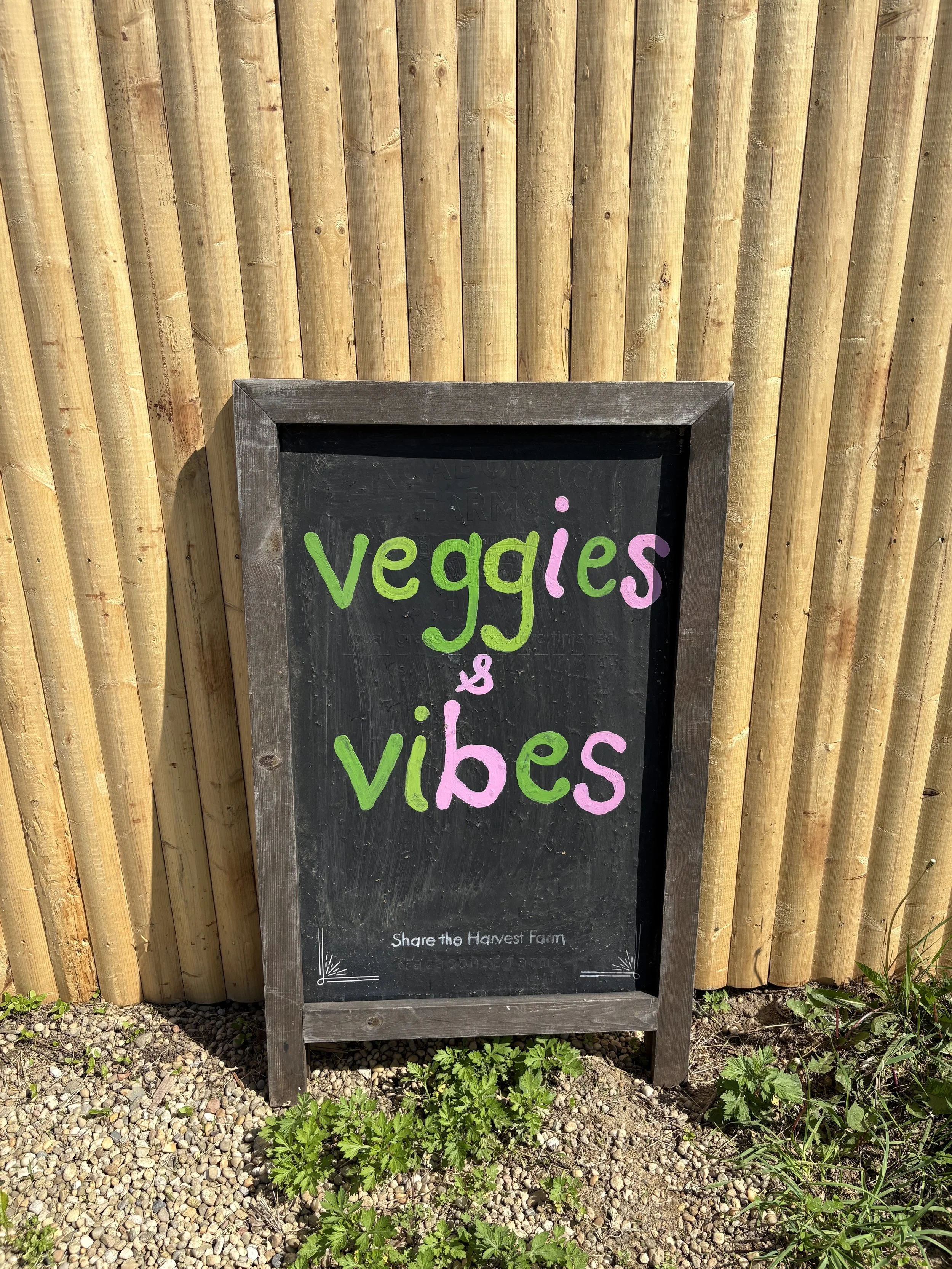 Black chalkboard sign with colorful writing that says 'veggies & vibes' against a wooden fence background, with some green plants and soil at the base.