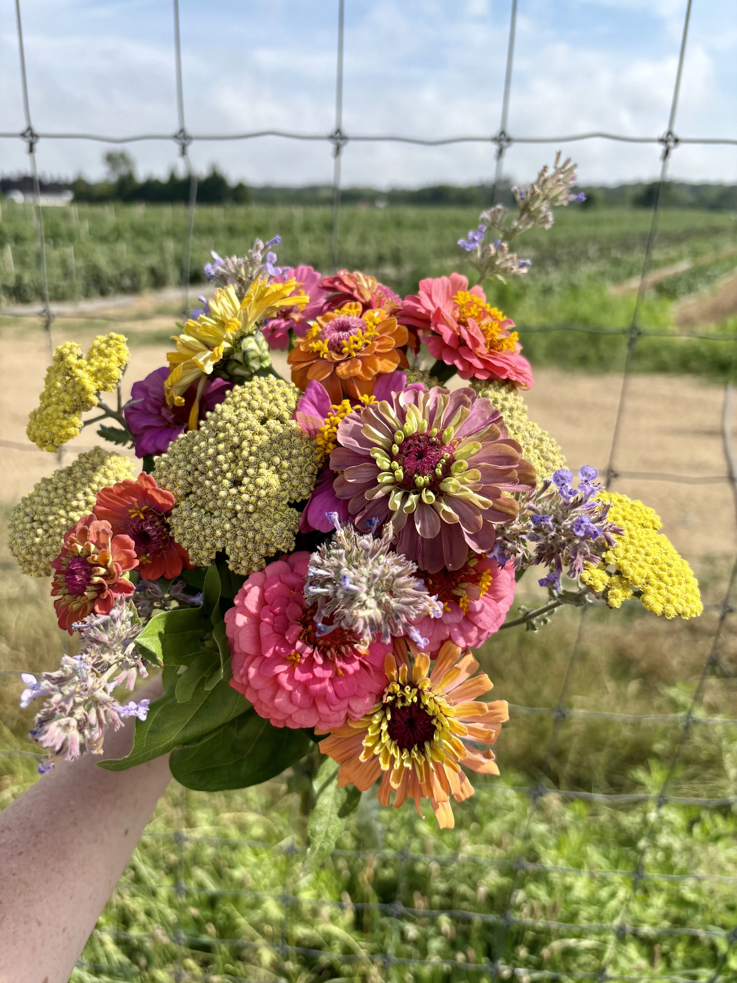 A bouquet of colorful flowers against a rural landscape with grass and a wire fence, under a partly cloudy sky.