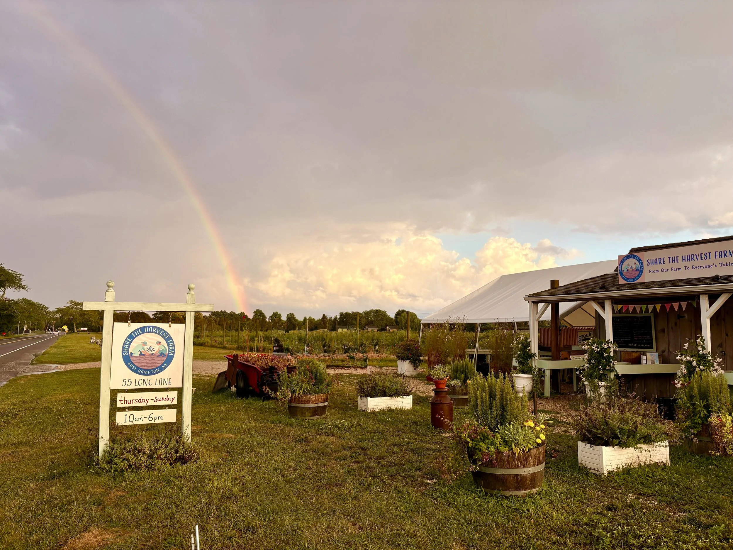 A parking lot and an outdoor market area with potted plants, flowers, and gardening supplies. A sign indicates business hours from Thursday to Sunday, 10 am to 6 pm. A rainbow is visible in a cloudy sky.