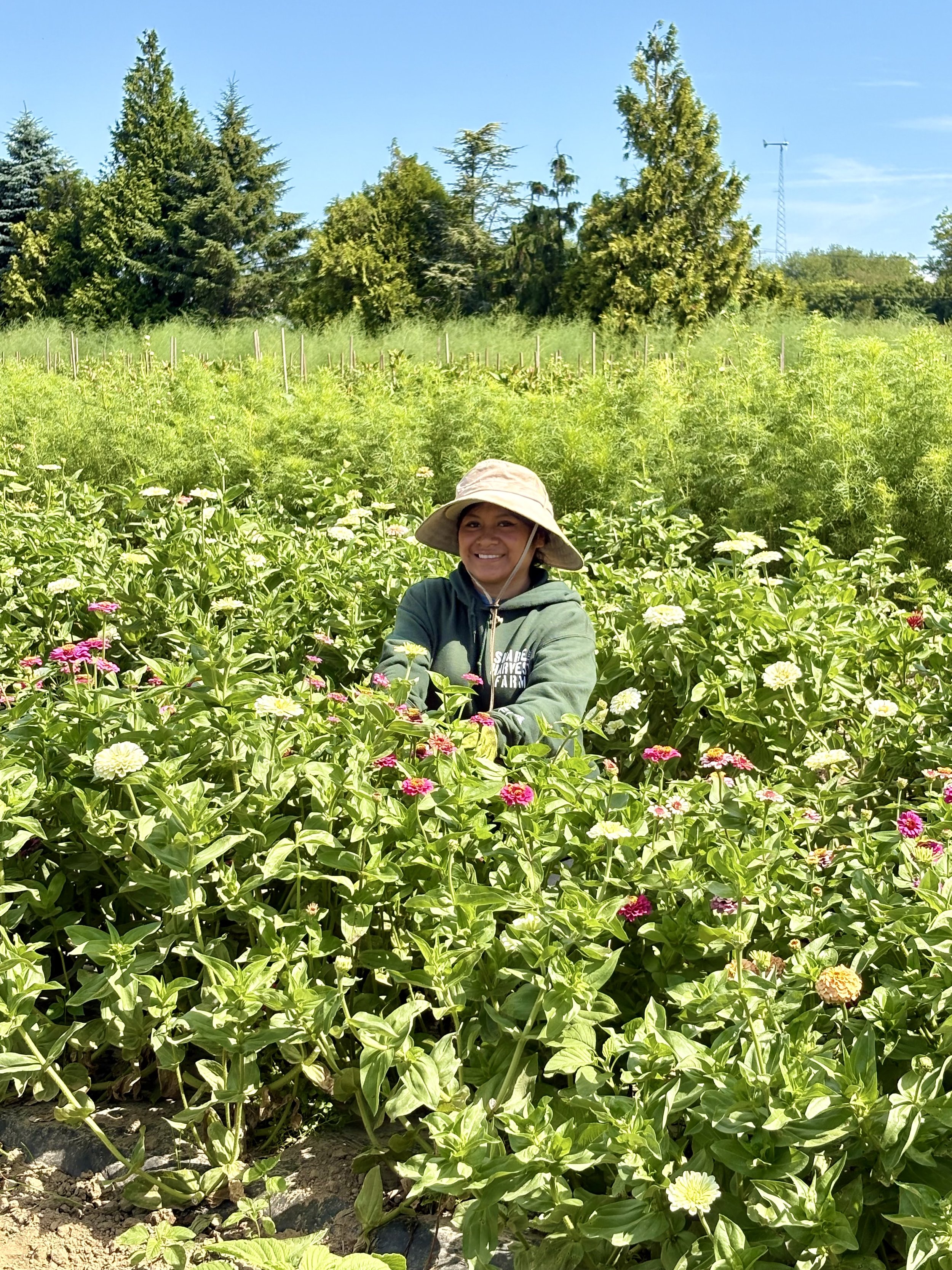 A woman smiling in a garden with flowering plants, wearing a wide-brimmed hat and a hoodie. Behind her are green trees and a clear blue sky.