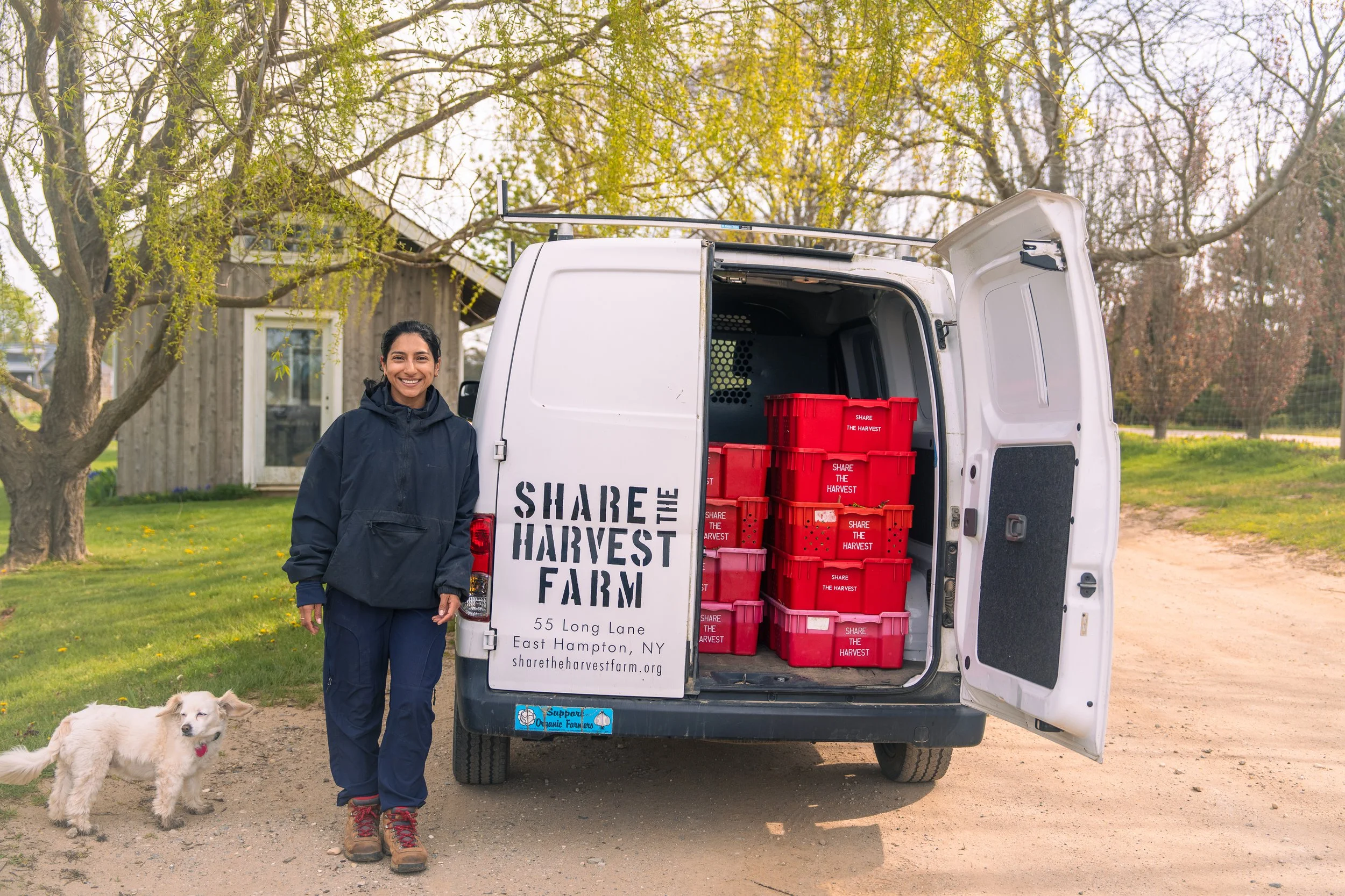 A woman with dark hair in a ponytail wearing a navy jacket and red shoes stands next to a white van with the door open. Inside the van, red storage containers are stacked, some labeled 'Share the Harvest.' The van has a sign with the farm's name, address, and website. A white dog with a pink collar stands on the ground near the woman, and a small, light-colored dog is lying in the grass nearby. The background has trees with early spring foliage and a small wooden building.