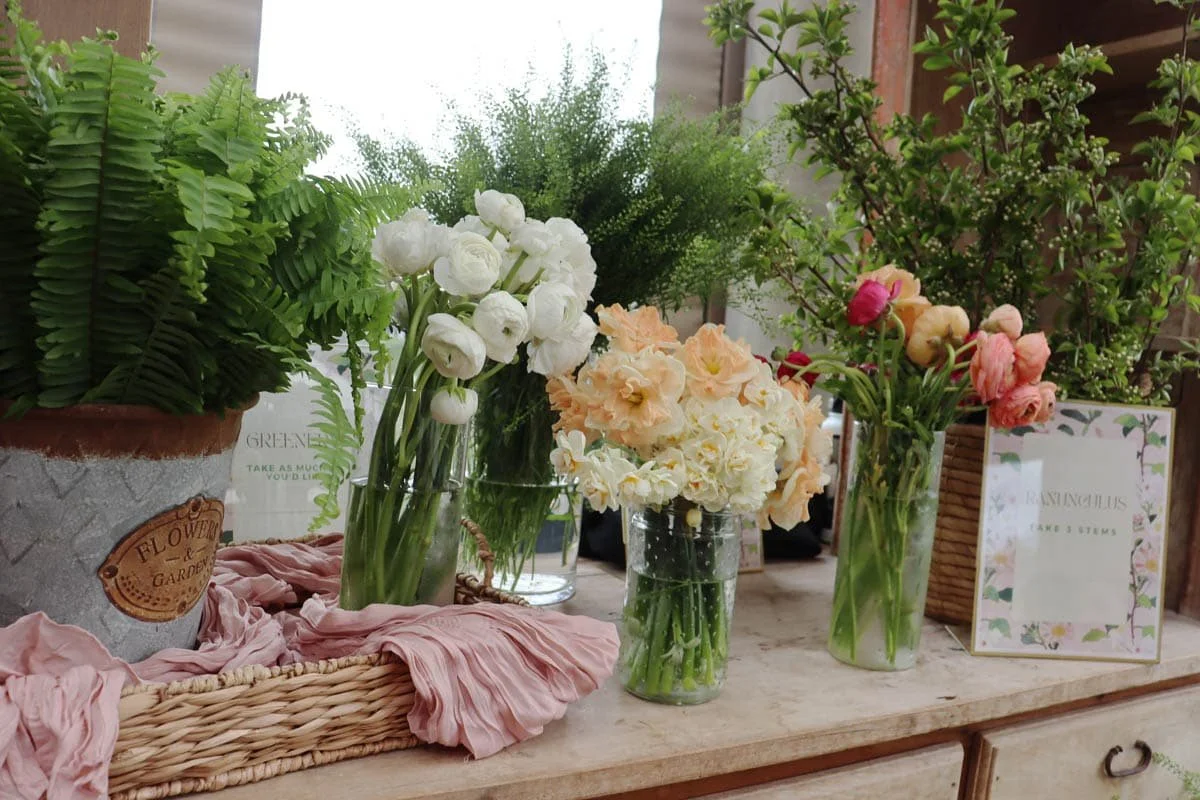 Various fresh flowers in glass vases and potted plants on a wooden table with a pink cloth, in a bright indoor setting.