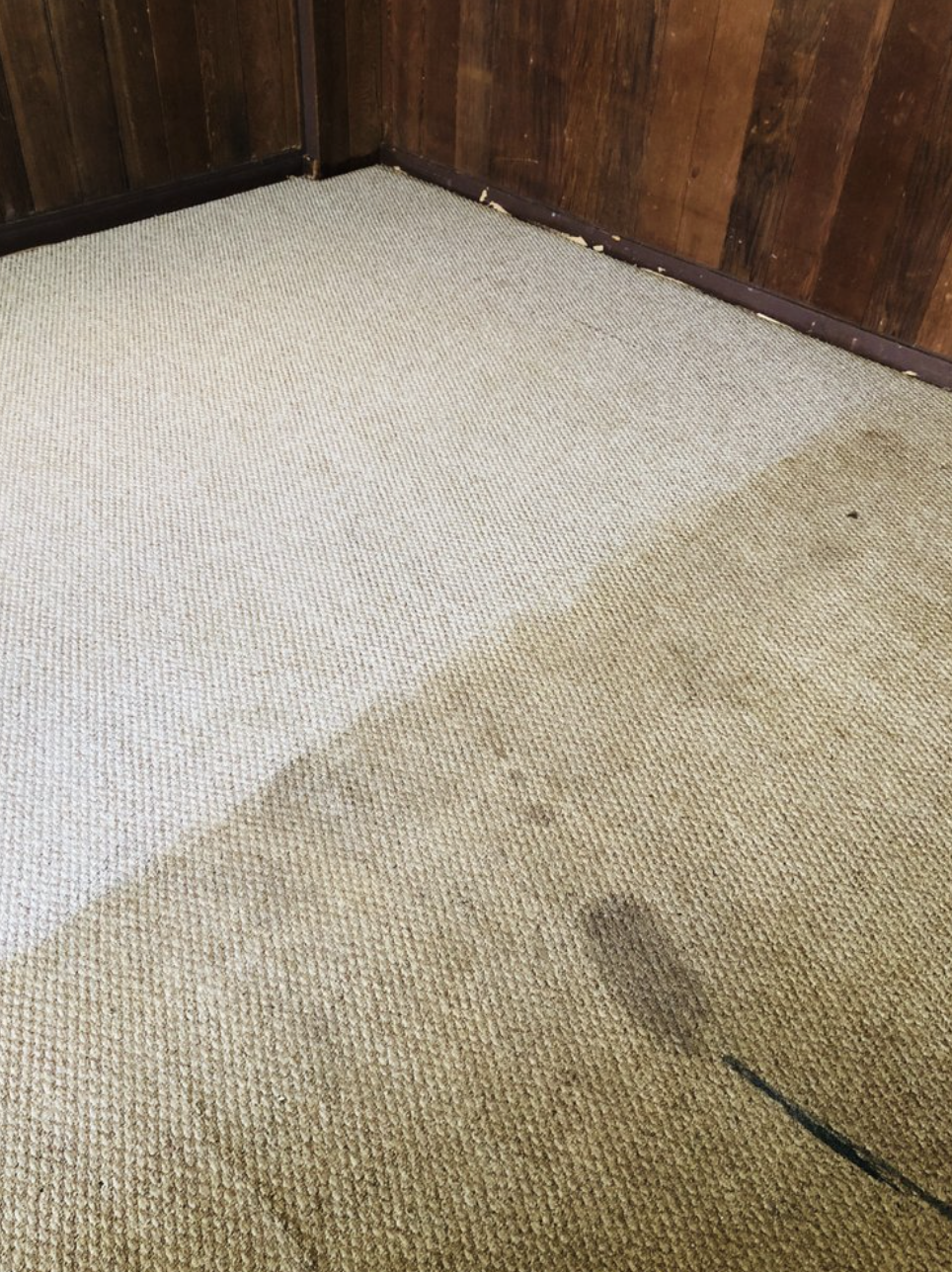 A beige carpet with some stains and discoloration in a room with wooden walls.