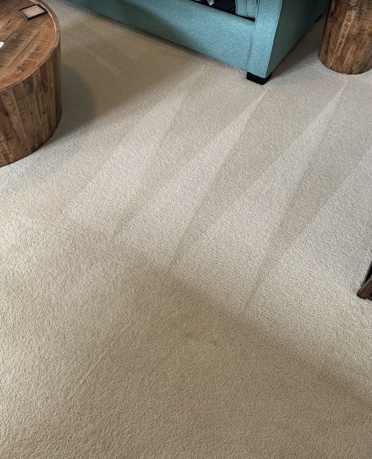 A beige carpet with several vacuum cleaner lines near a turquoise sofa and wooden side tables in a living room.