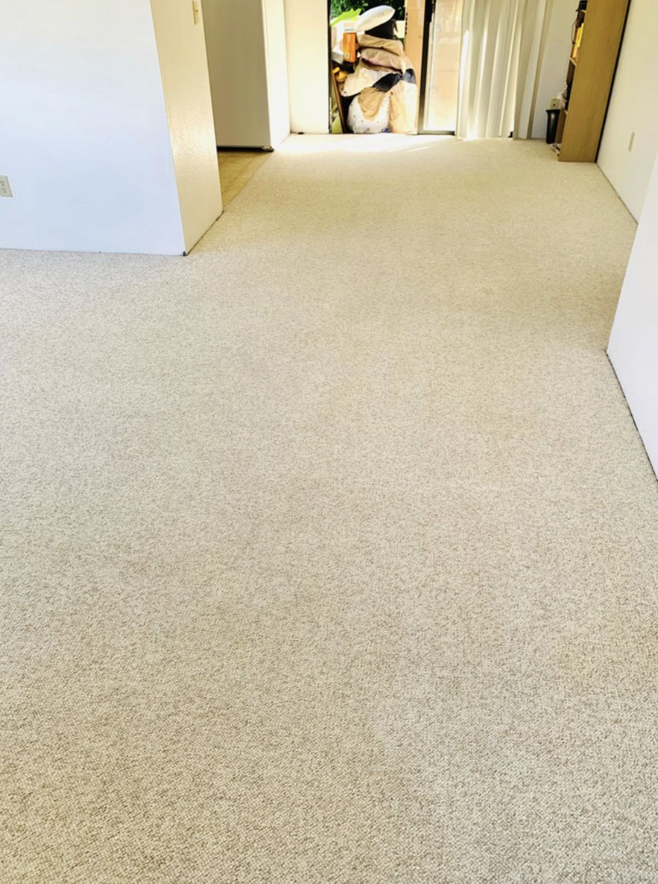 Empty beige carpeted room with an open door leading to a cluttered laundry area.