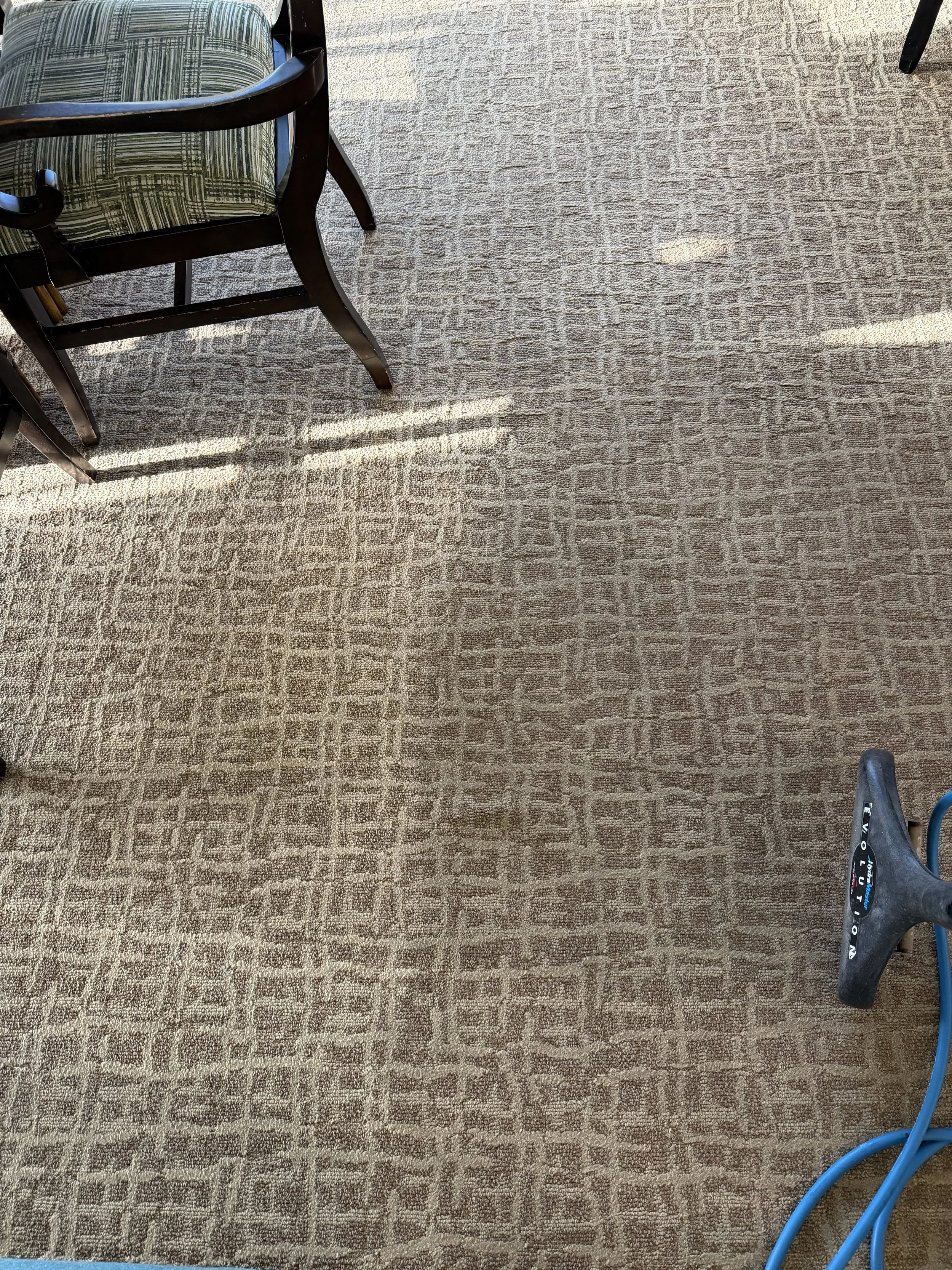 Photograph of a beige patterned carpet with sunlight and shadows falling on it, furniture and a weight machine partially visible.