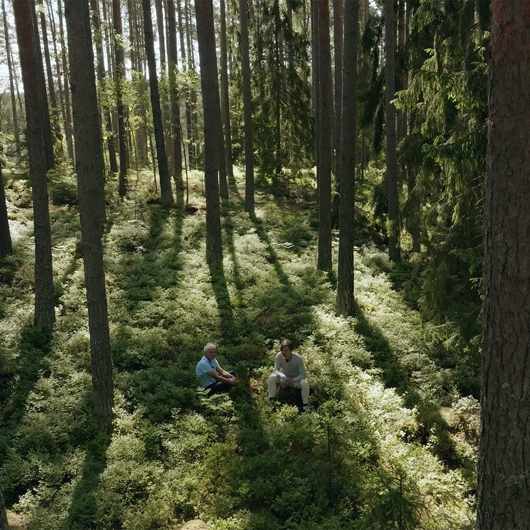 Stora Enso Forest
