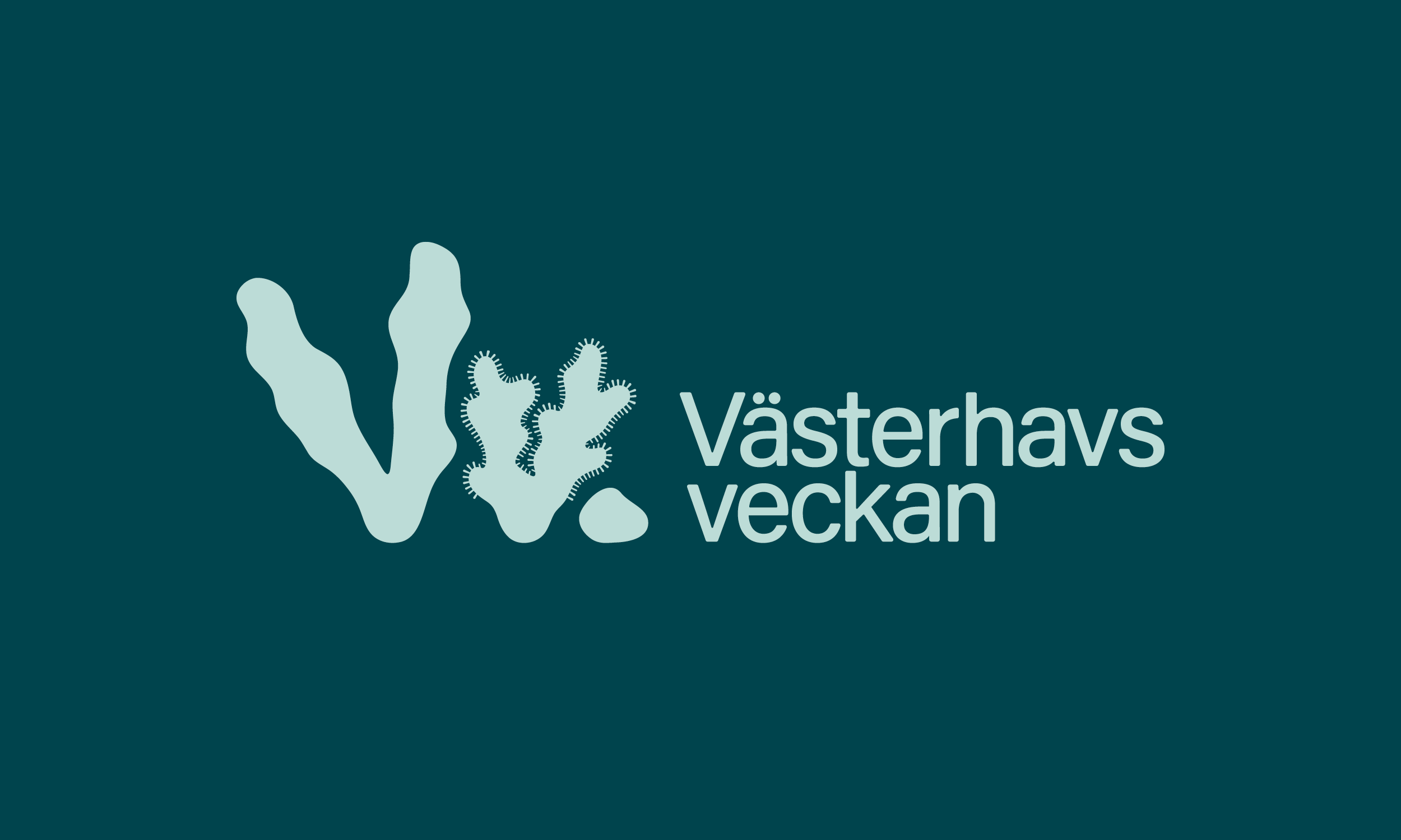 Vv_05.png