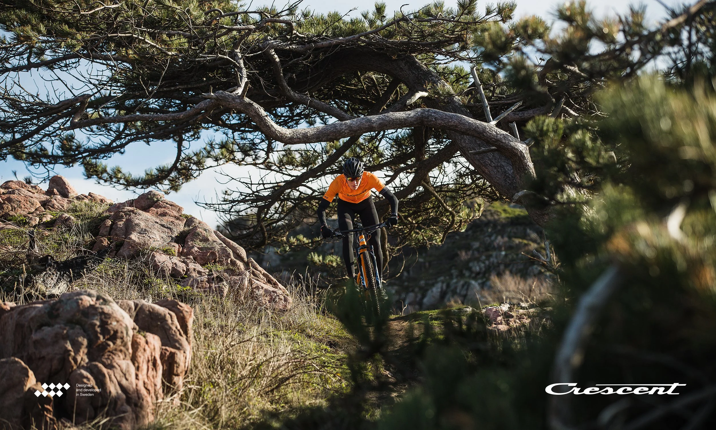 MTB_2.jpg