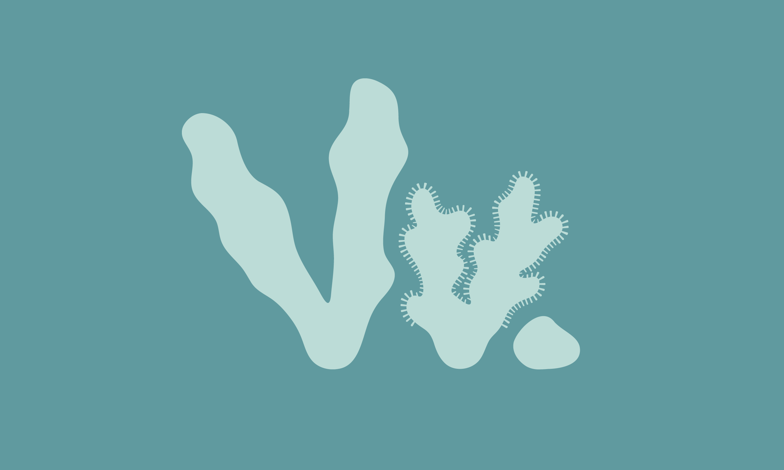 Vv_02.png
