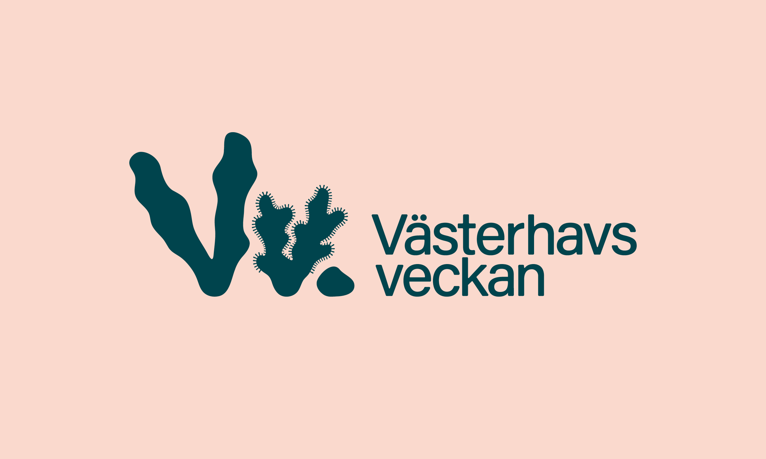 Vv_06.png