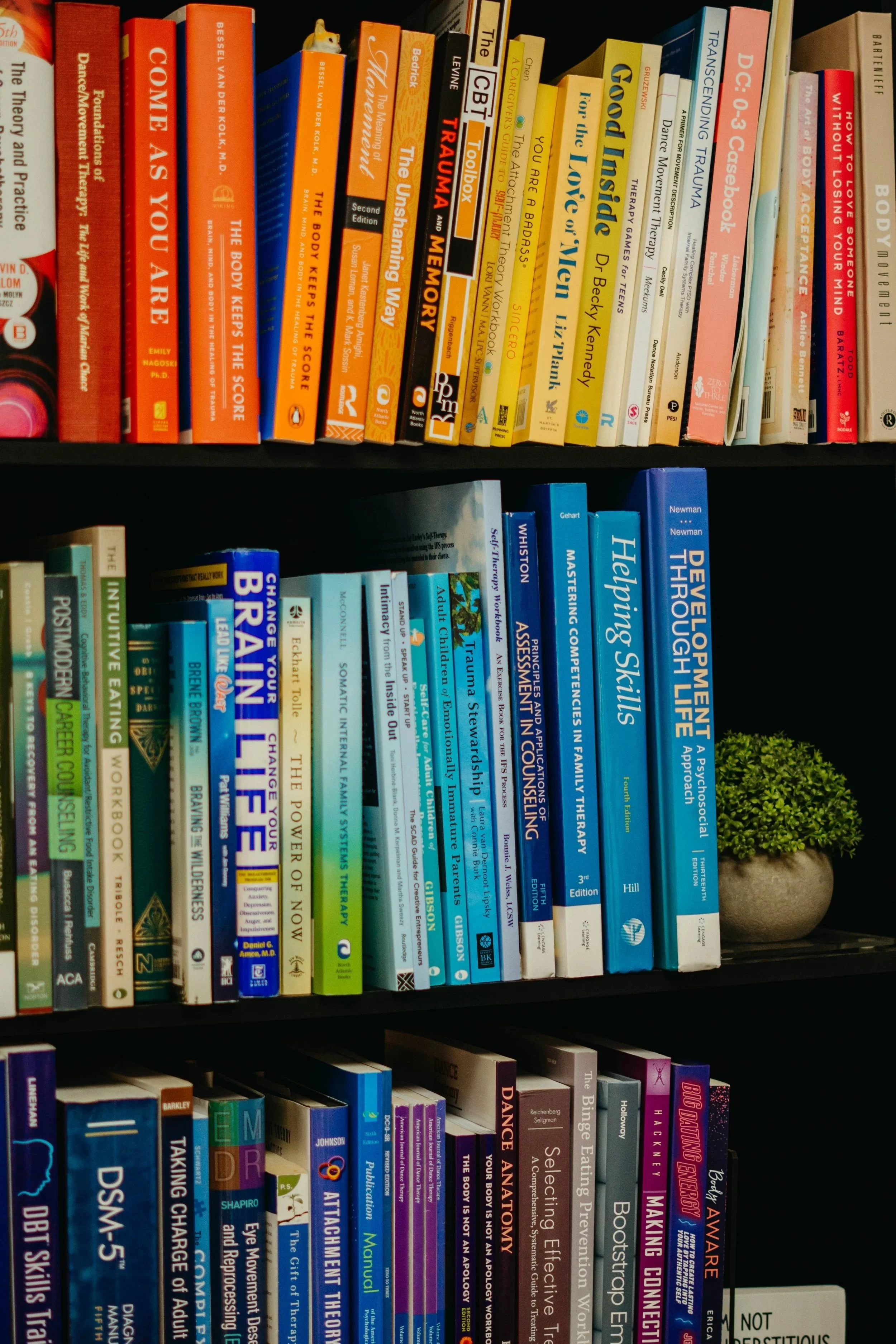 Photo of colorful books on a bookshelf, covering topics like body memory, trauma, therapy, and personal development.