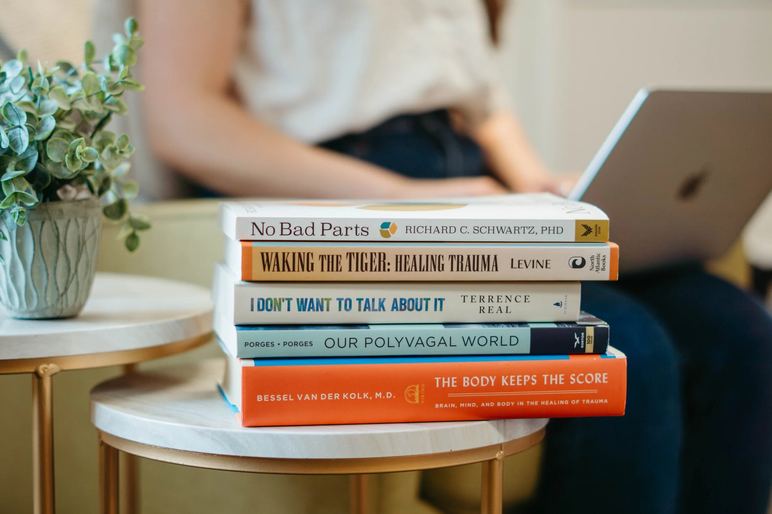 A stack of five books on a small round table, with a person blurred in the background, and a potted plant nearby. The visible book titles include "No Bad Parts," "Waking the Tiger: Healing Trauma," "I Don't Want to Talk About It," "Our Polyvagal World," and "The Body Keeps the Score."