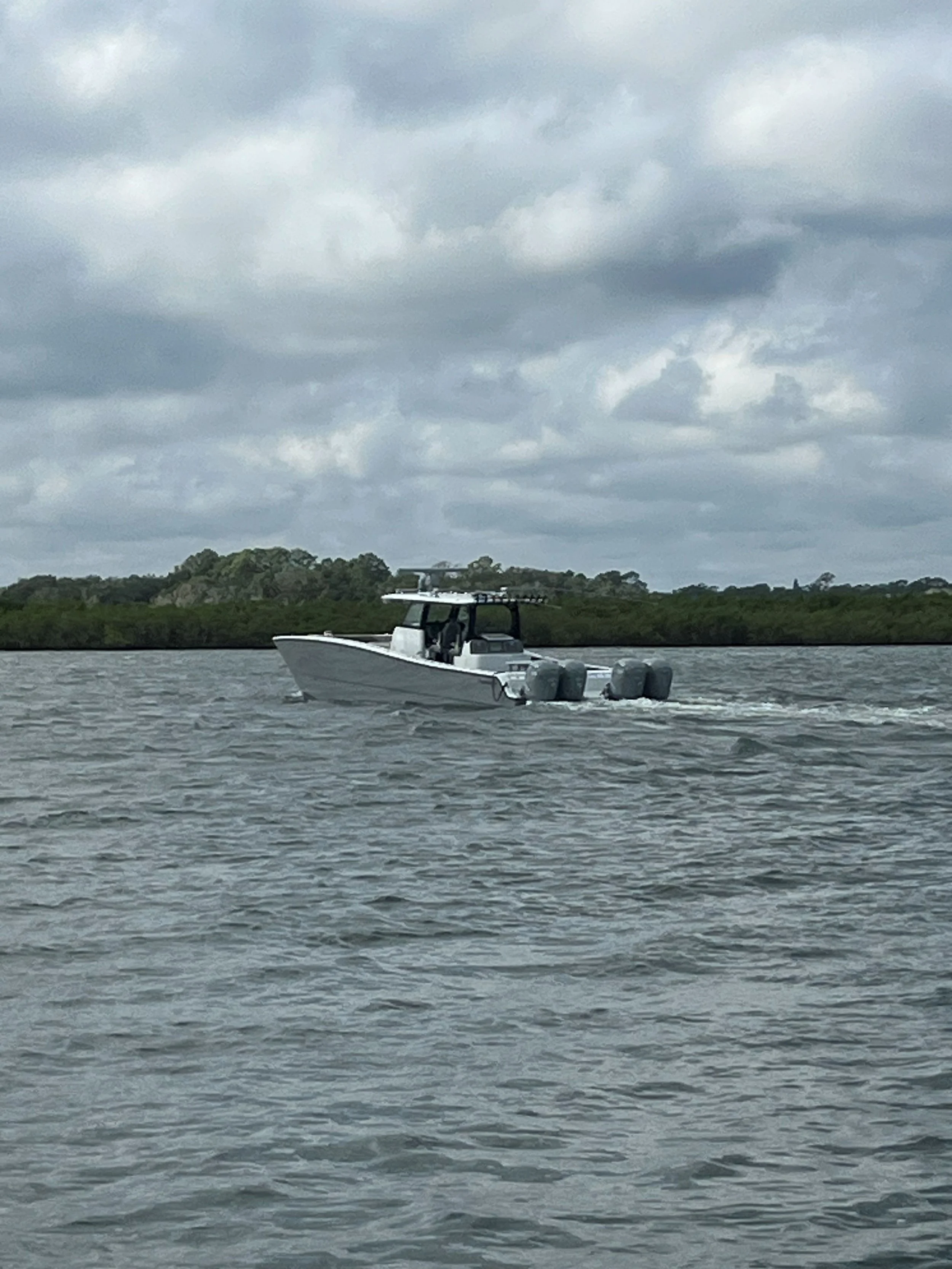 A boat with two large motors is floating on a body of water under a cloudy sky, with a green shoreline in the background.