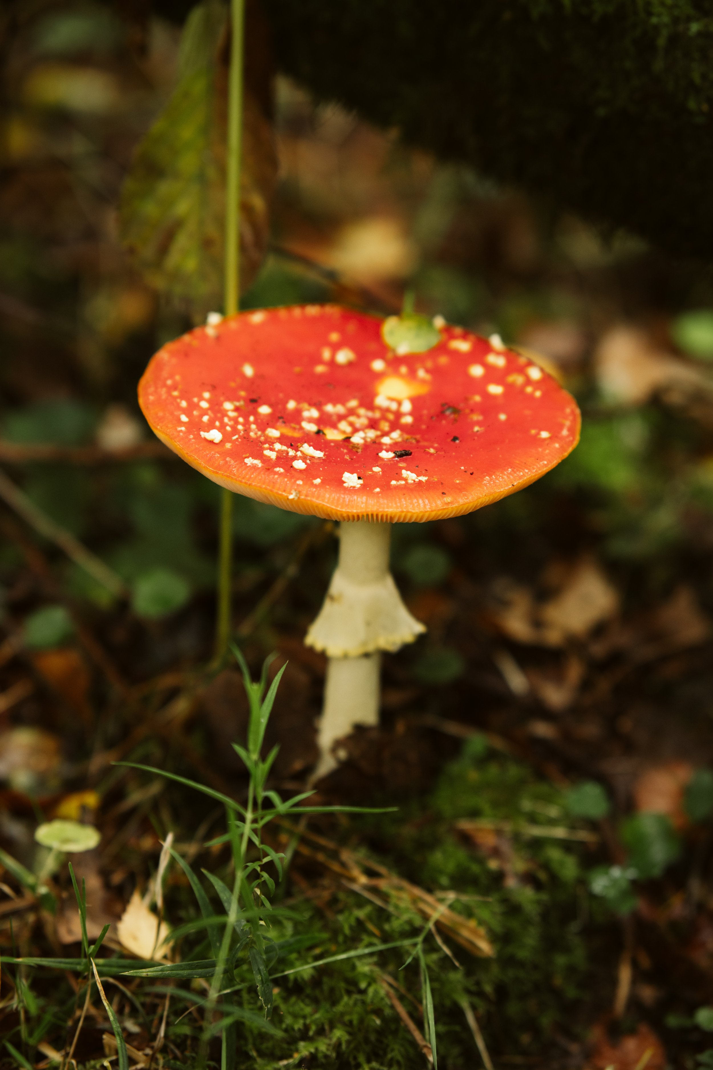 DSC06544.jpg